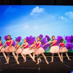 WhatsApp Image 2017-12-02 at 12.01.51