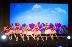 WhatsApp Image 2017-12-02 at 12.01.51